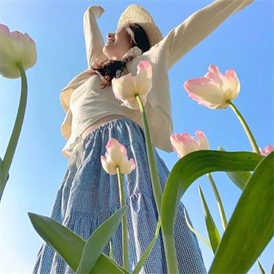 与鲨鱼游弋